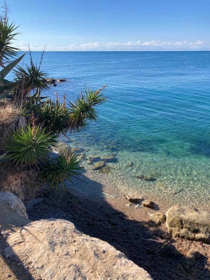 Las Tres Palmeras Vinarós Εξωτερικό φωτογραφία
